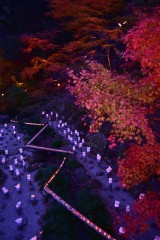 【 入選 】 「川の流れのように」